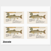 Sticker Rectangulaire Amago (Oncorhynchus masou ishikawae) – Japanese (Feuille)