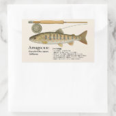 Sticker Rectangulaire Amago (Oncorhynchus masou ishikawae) – Japanese (Sac)