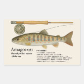 Sticker Rectangulaire Amago (Oncorhynchus masou ishikawae) – Japanese (Devant)