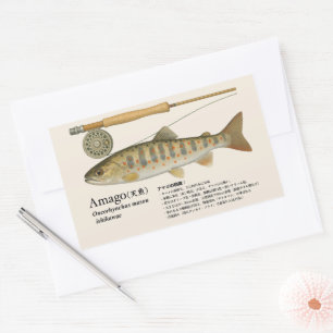 Sticker Rectangulaire Amago (Oncorhynchus masou ishikawae) – japonais