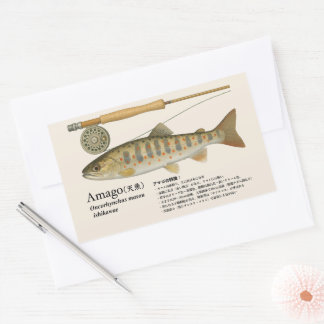 Sticker Rectangulaire Amago (Oncorhynchus masou ishikawae) – japonais