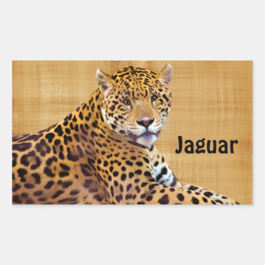 Sticker Rectangulaire Amateur de gros chat Jaguar tacheté #Cadeau (Devant)