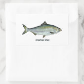 Sticker Rectangulaire American Shad (Sac)