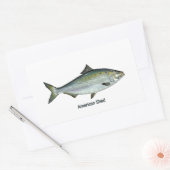 Sticker Rectangulaire American Shad (Enveloppe)