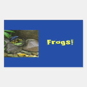 Sticker Rectangulaire Amis de grenouille de dard