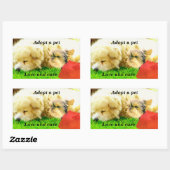 Sticker Rectangulaire Amour et soins, Chiens_ (Feuille)