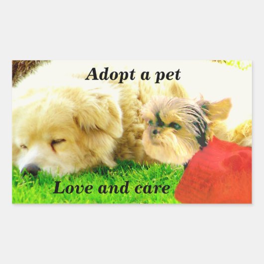 Sticker Rectangulaire Amour et soins, Chiens_ (Devant)