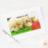 Sticker Rectangulaire Amour et soins, Chiens_ (Enveloppe)