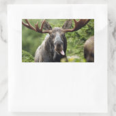 Sticker Rectangulaire Amusante orignal (Sac)