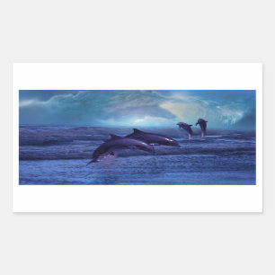 Sticker Rectangulaire Amusement et jeu de dauphins