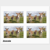 Sticker Rectangulaire Âne trois (Feuille)