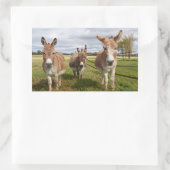 Sticker Rectangulaire Âne trois (Sac)