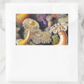 Sticker Rectangulaire Anémone de mer Nature scientifique Océan (Sac)