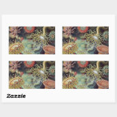 Sticker Rectangulaire Anémone de mer Nature scientifique Océan (Feuille)