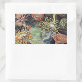 Sticker Rectangulaire Anémone de mer Nature scientifique Océan (Sac)