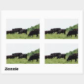 Sticker Rectangulaire Angus noir de bovins (Feuille)