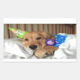 Sticker Rectangulaire Anniversaire de golden retriever