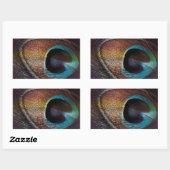 Sticker Rectangulaire Antique Hues Peacock Feather Eye (Feuille)
