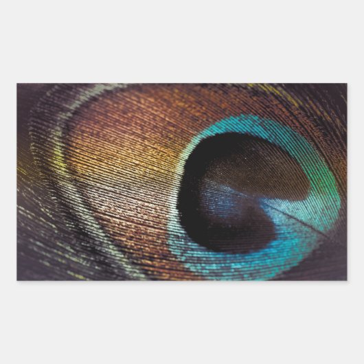 Sticker Rectangulaire Antique Hues Peacock Feather Eye (Devant)
