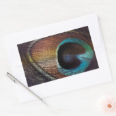 Sticker Rectangulaire Antique Hues Peacock Feather Eye (Enveloppe)