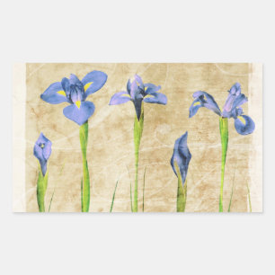 Sticker Rectangulaire Antique Irises - Personnaliser Vintage de l'Arrièr