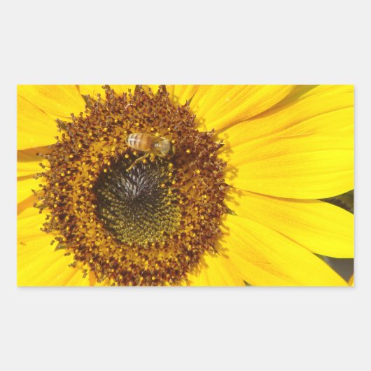 Sticker Rectangulaire apiculture sur timbre-poste de tournesol (Devant)
