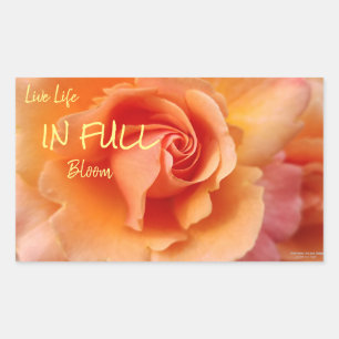 Sticker Rectangulaire Apricot Peach Rose Flower Close Up