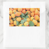 Sticker Rectangulaire Apricots (Sac)