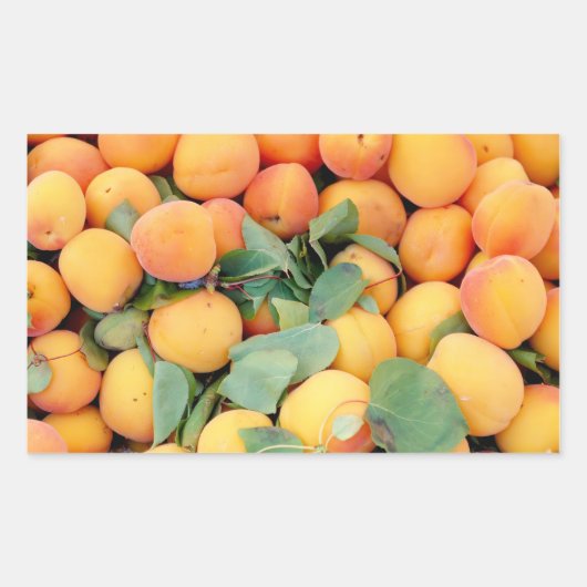 Sticker Rectangulaire Apricots (Devant)