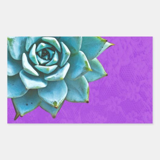 Sticker Rectangulaire Aquarelle Succulente dentelle pourpre (Devant)