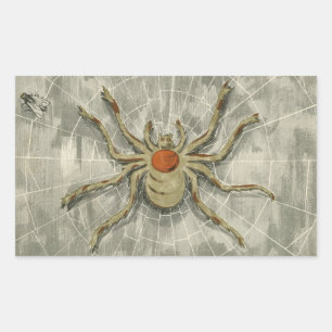 Sticker Rectangulaire Araignée d'Halloween vintage dans sa toile avec un