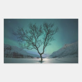 Sticker Rectangulaire Arborescence boréale (Devant)