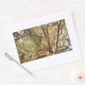 Sticker Rectangulaire Arbre (Enveloppe)