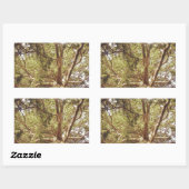 Sticker Rectangulaire Arbre (Feuille)