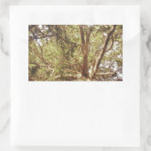 Sticker Rectangulaire Arbre (Sac)