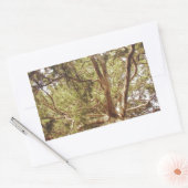 Sticker Rectangulaire Arbre (Enveloppe)