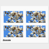 Sticker Rectangulaire Arbre de printemps blanc fleuri blanc (Feuille)