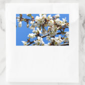 Sticker Rectangulaire Arbre de printemps blanc fleuri blanc (Sac)