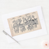 Sticker Rectangulaire "Arbre de vie" 1859 illustration par Ernst Haeckel (Enveloppe)