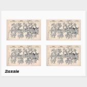 Sticker Rectangulaire "Arbre de vie" 1859 illustration par Ernst Haeckel (Feuille)