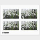 Sticker Rectangulaire Arbre frange (Chionanthus virginicus) (Feuille)