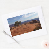 Sticker Rectangulaire Arbre hors des rochers rouges dans le parc nationa (Enveloppe)