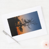 Sticker Rectangulaire Arbre sur un arrière - plan couché de soleil (Enveloppe)