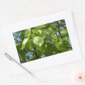 Sticker Rectangulaire Arbre vert Feuille à bouleau printanier (Enveloppe)