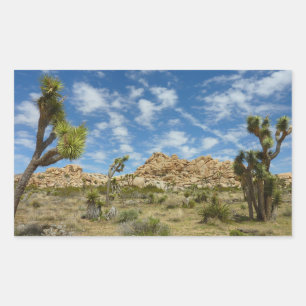 Sticker Rectangulaire Arbres de Joshua et paysage désertique sous un cie
