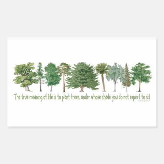 Sticker Rectangulaire Arbres plantes (Devant)