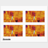 Sticker Rectangulaire Arc-en-ciel libellule sur ambre et fuschie (Feuille)