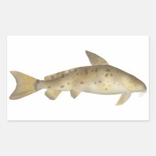 Sticker Rectangulaire Armado
