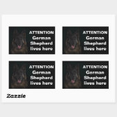 Sticker Rectangulaire Attention berger allemand vit ici (Feuille)