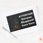 Sticker Rectangulaire Attention berger allemand vit ici (Enveloppe)
